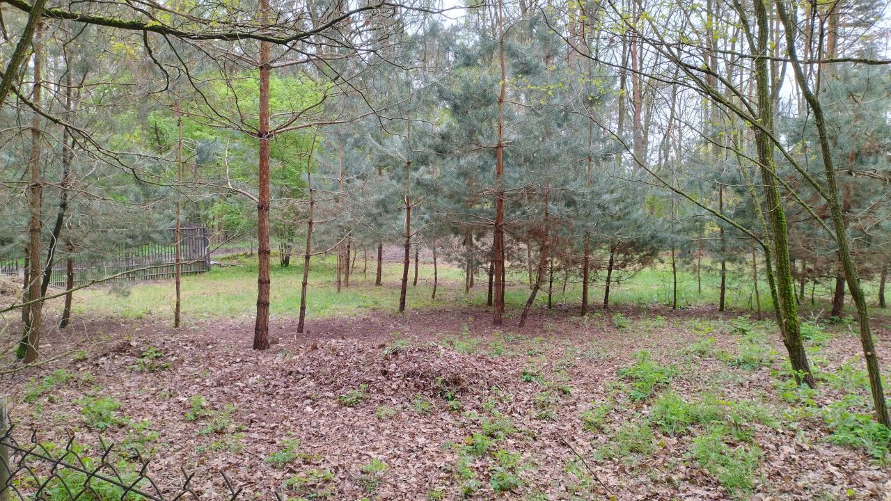 Działka budowlana Zofiówka, ul. Cmentarna. Zdjęcie 31