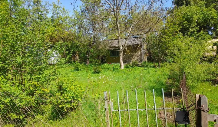 Działka rod Kielce, ul. Leśniówka