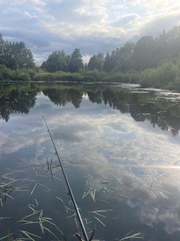 Działka rolna Kozaki. Zdjęcie 5
