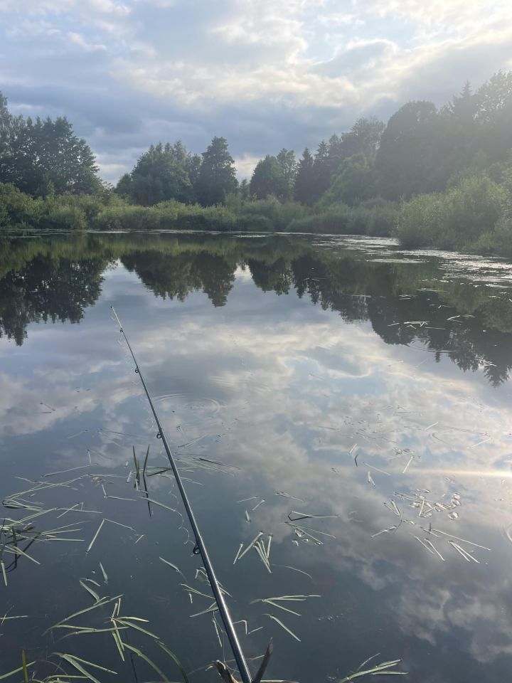 Działka rolna Kozaki. Zdjęcie 5