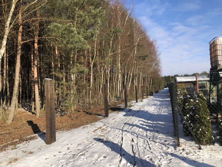 Działka budowlana Jasionna. Zdjęcie 7