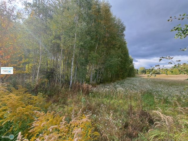 Działka siedliskowa Łagów. Zdjęcie 1