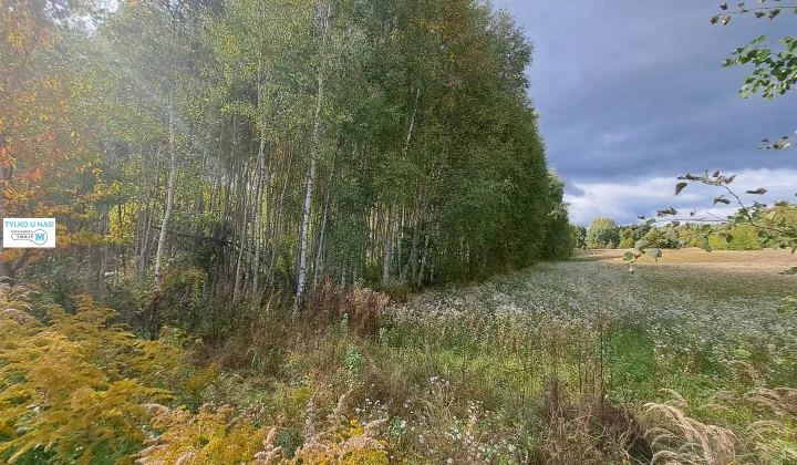 Działka siedliskowa Łagów