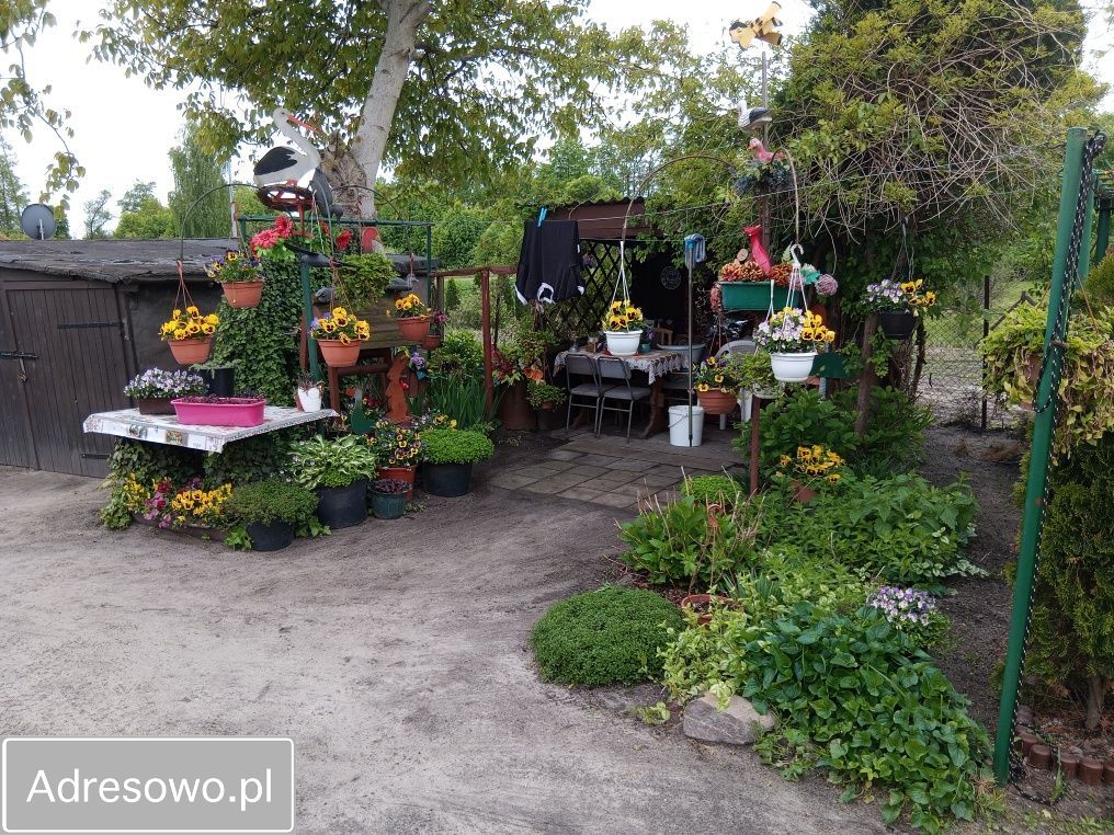 Mieszkanie 2-pokojowe Brzezie. Zdjęcie 5