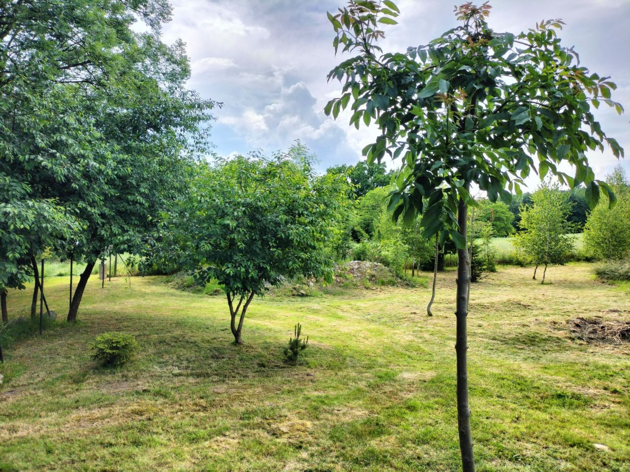 Działka budowlana Jaźwina Uliczno. Zdjęcie 4