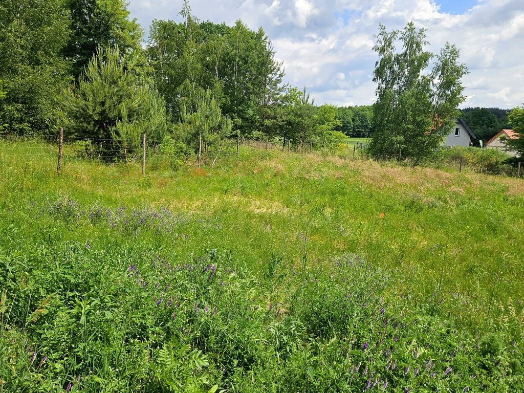 bliźniak, 5 pokoi Lubnów Nowosielce, ul. Eliasza. Zdjęcie 27