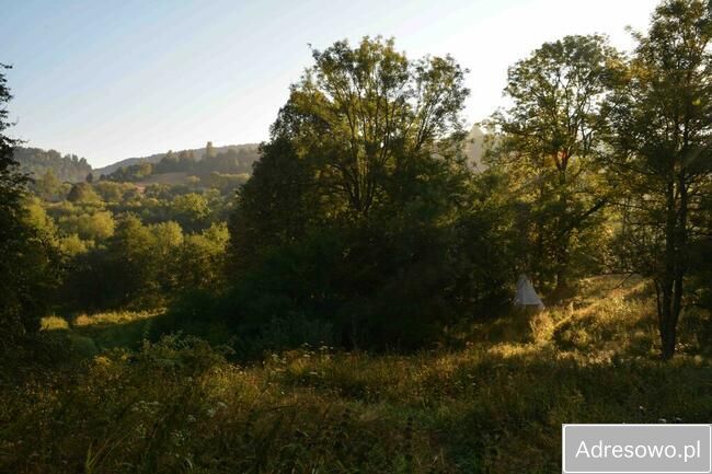Działka leśna Polana. Zdjęcie 11