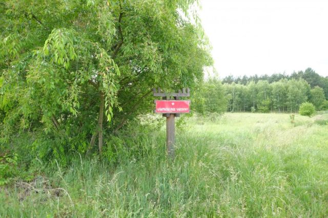 Działka rolna Wólka Smolana. Zdjęcie 6