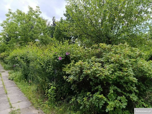 Działka rod Warszawa Włochy, ul. Sasanki. Zdjęcie 14