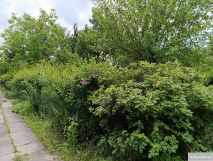 Działka rod Warszawa Włochy. Zdjęcie 1