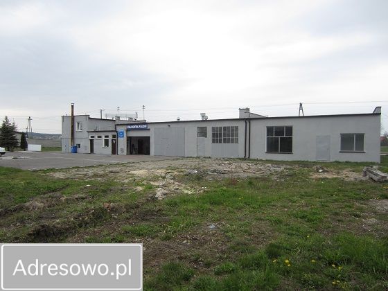 Hala/magazyn Russocice. Zdjęcie 6