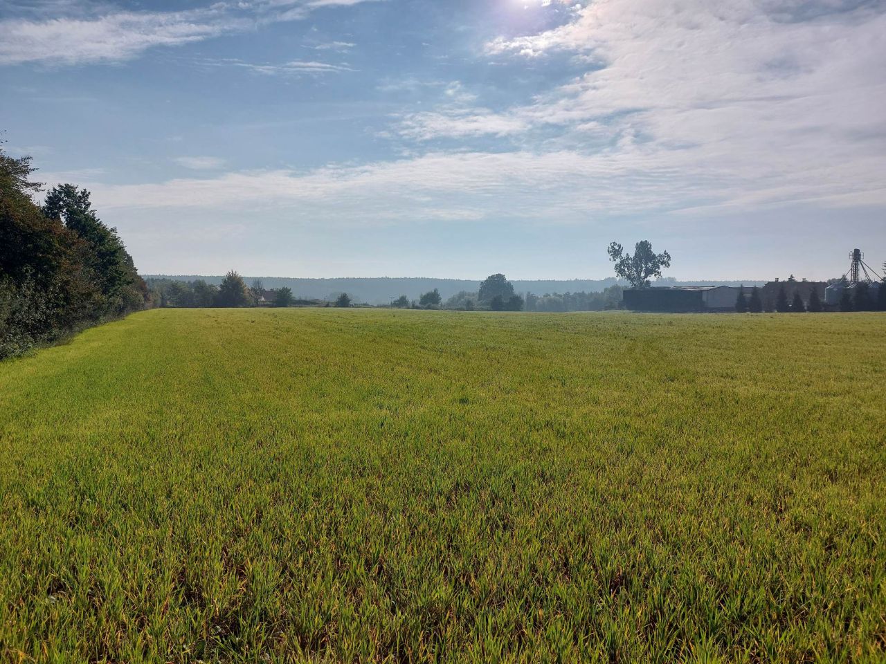 Działka rolna Gościeradz, ul. Kameralna. Zdjęcie 5