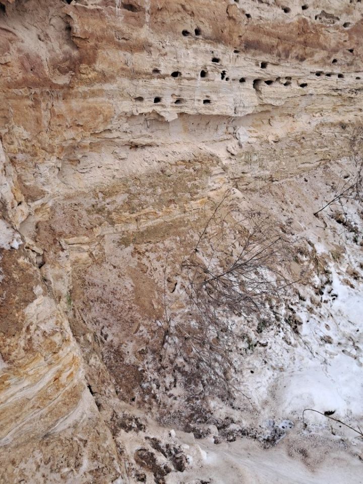 Działka inwestycyjna Biernaty Średnie. Zdjęcie 2