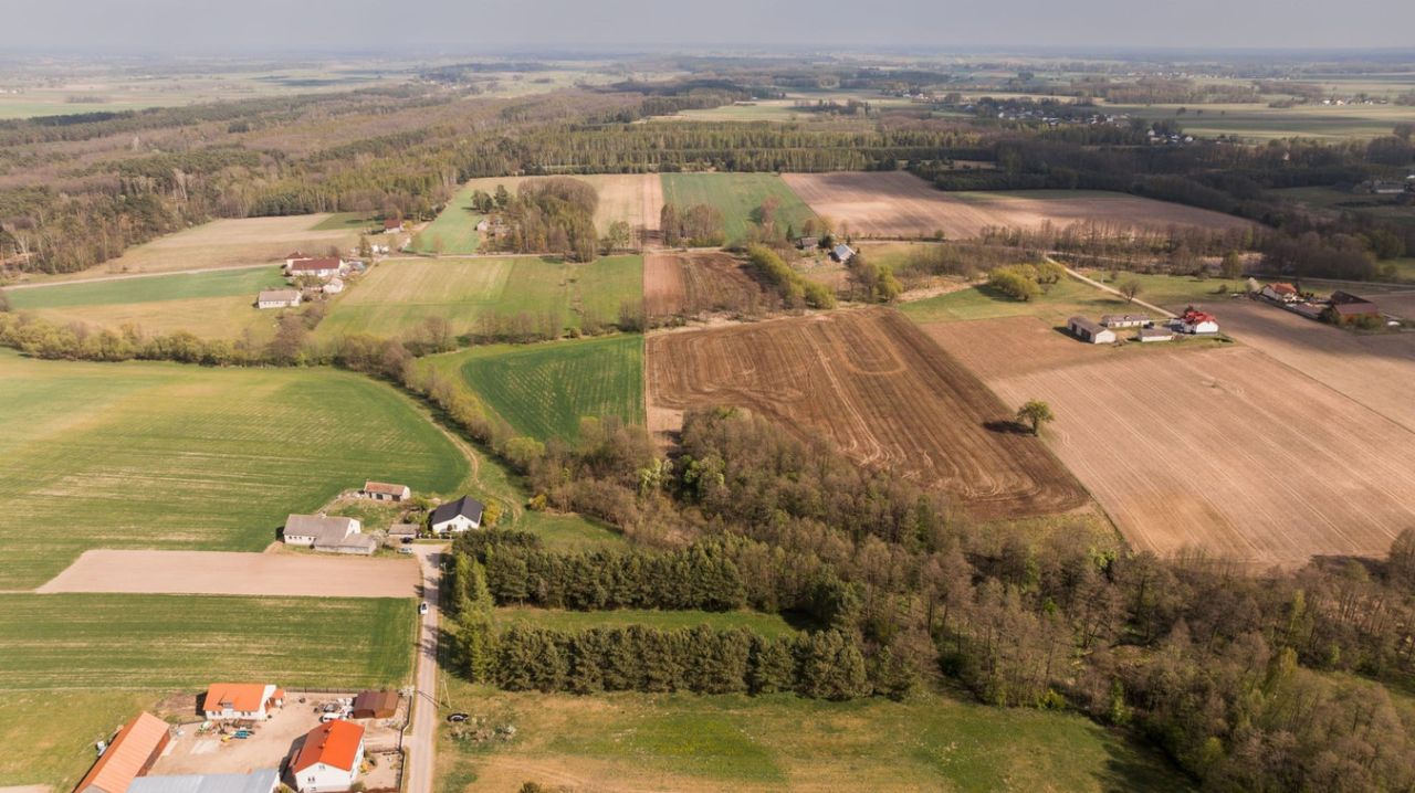 Działka rolno-budowlana Stare Zambski. Zdjęcie 10