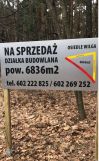 Działka budowlana Wilga Kolonia Wilga, Jalowcow. Zdjęcie 3