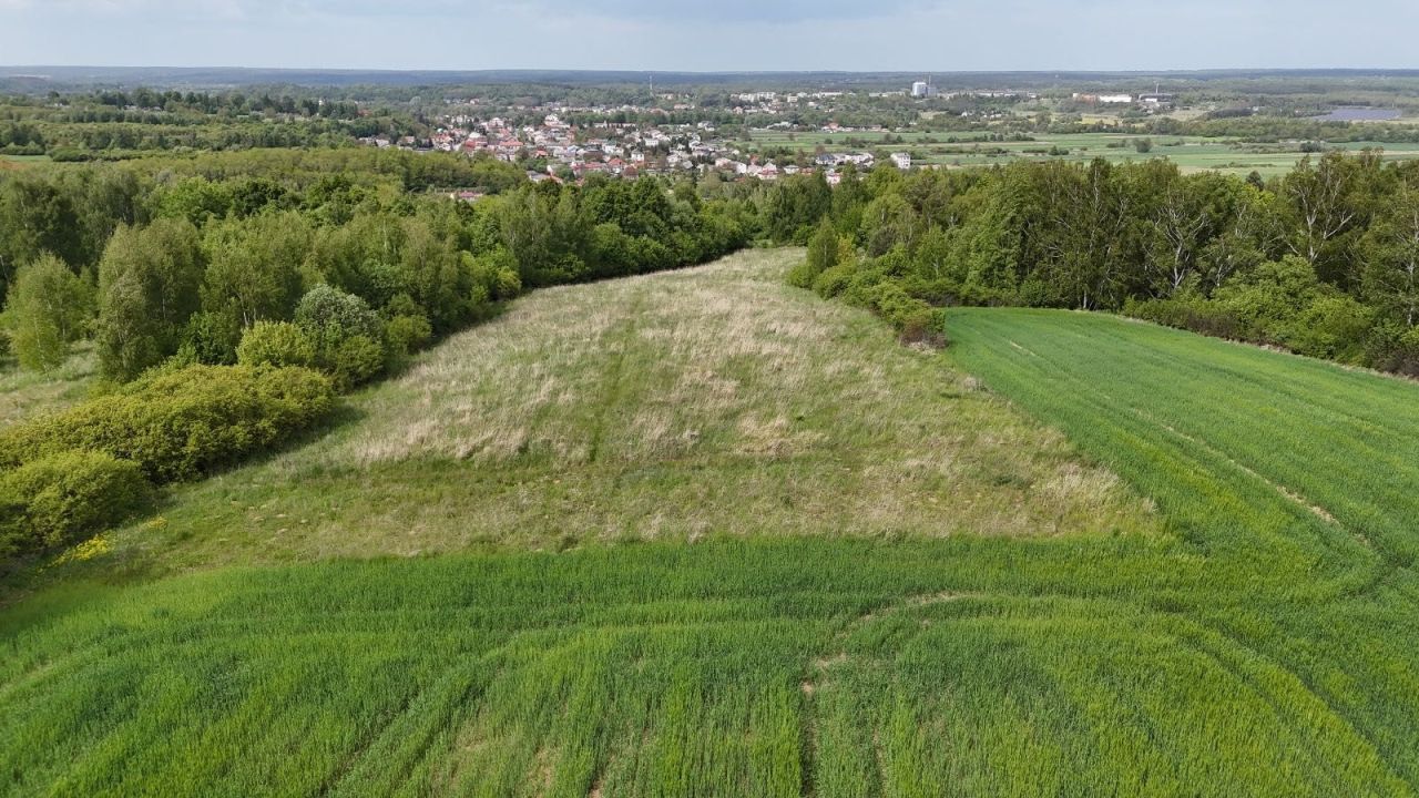 Działka rolna Kunów, ul. Kaznodziejska. Zdjęcie 4