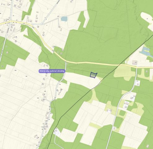 Działka rolna Smyków Smyków Mały, ul. Leśna. Zdjęcie 1