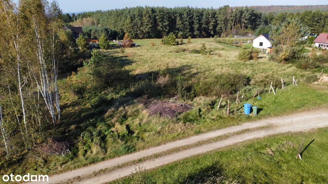 Działka budowlana Luzino, ul. Borówkowa. Zdjęcie 11