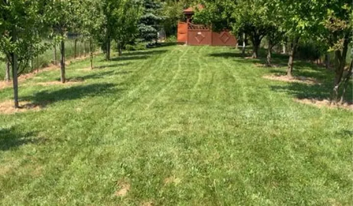 Działka rolna Głogów