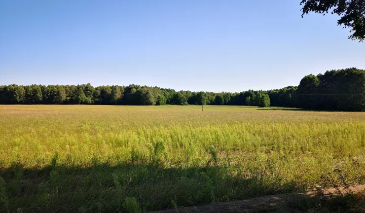 Działka budowlana Borowe