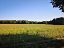 Działka budowlana Borowe. Zdjęcie 3