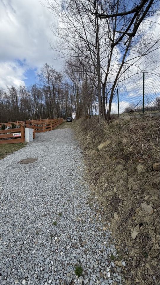 Działka rekreacyjna Jastrzębie-Zdrój Moszczenica. Zdjęcie 3