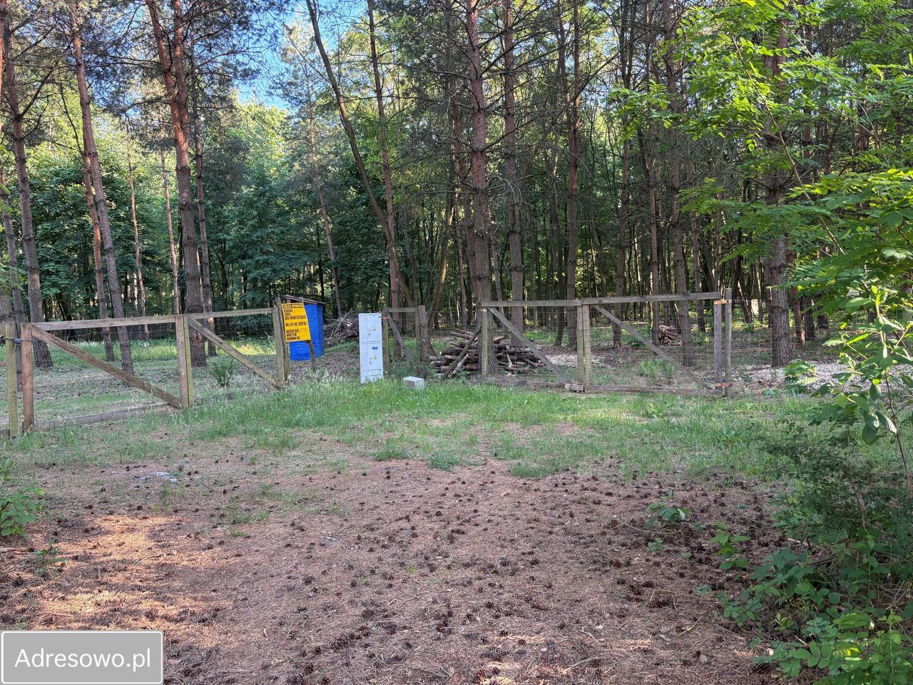 Działka budowlana Wężyk. Zdjęcie 5