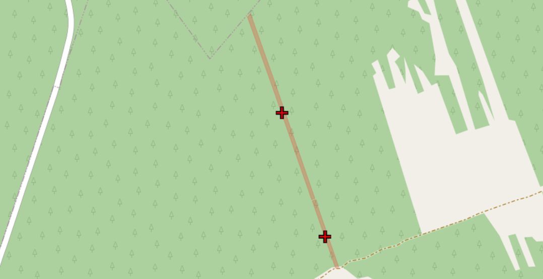 Działka leśna Hedwiżyn. Zdjęcie 3