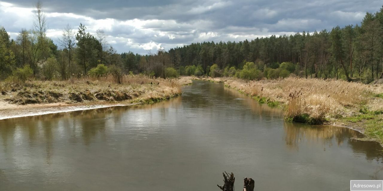 Działka leśna Podbale. Zdjęcie 2