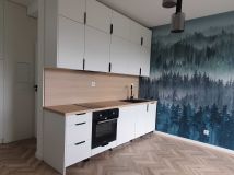 Mieszkanie 1-pokojowe Bydgoszcz, ul. Igrzyskowa. Zdjęcie 1