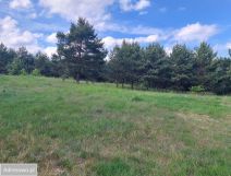 Działka budowlana Zgoda. Zdjęcie 4