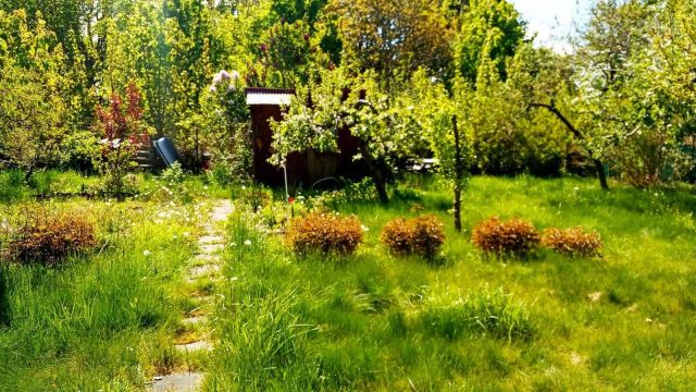 Działka rekreacyjna Słupsk. Zdjęcie 1