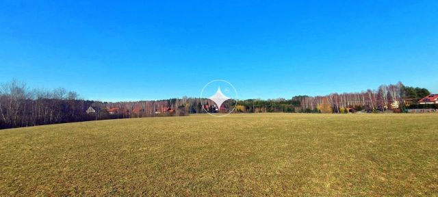 Działka rolna Marcinkowo. Zdjęcie 2