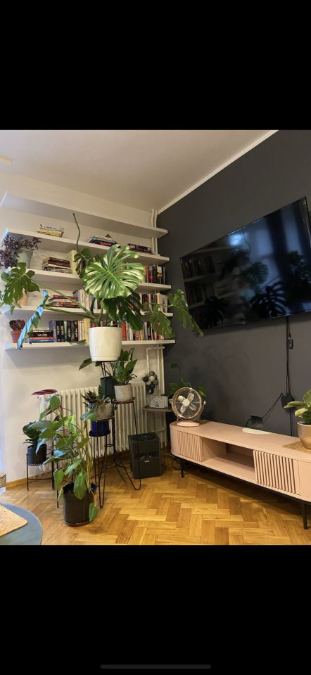 Mieszkanie 2-pokojowe Wrocław Stare Miasto, pl. Legionów. Zdjęcie 5