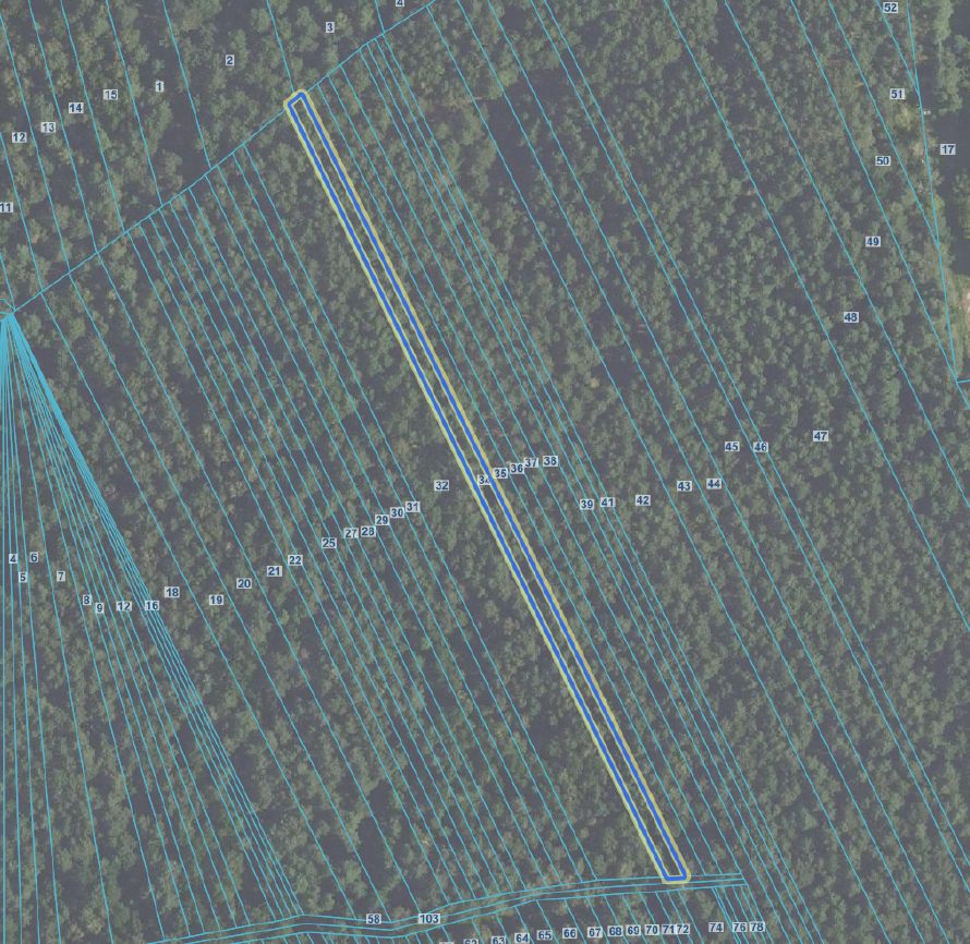 Działka leśna Otwock Świerk. Zdjęcie 7