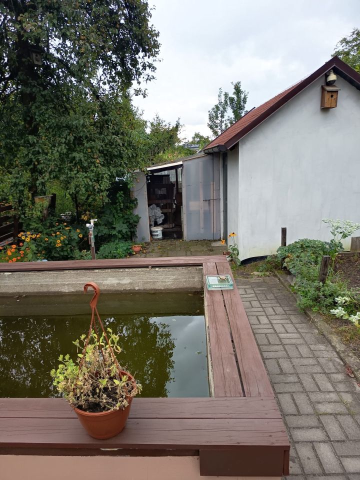 Działka rod Zielona Góra Jędrzychów, ul. Botaniczna. Zdjęcie 7