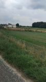 Działka rolno-budowlana Głoska, ul. Kwiatowa. Zdjęcie 4