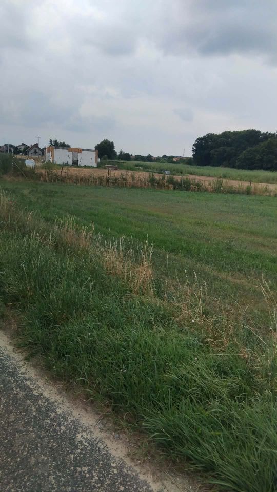 Działka rolno-budowlana Głoska, ul. Kwiatowa. Zdjęcie 5