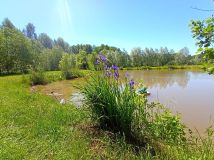 Działka inwestycyjna Krężoły, ul. Ziołowa. Zdjęcie 4