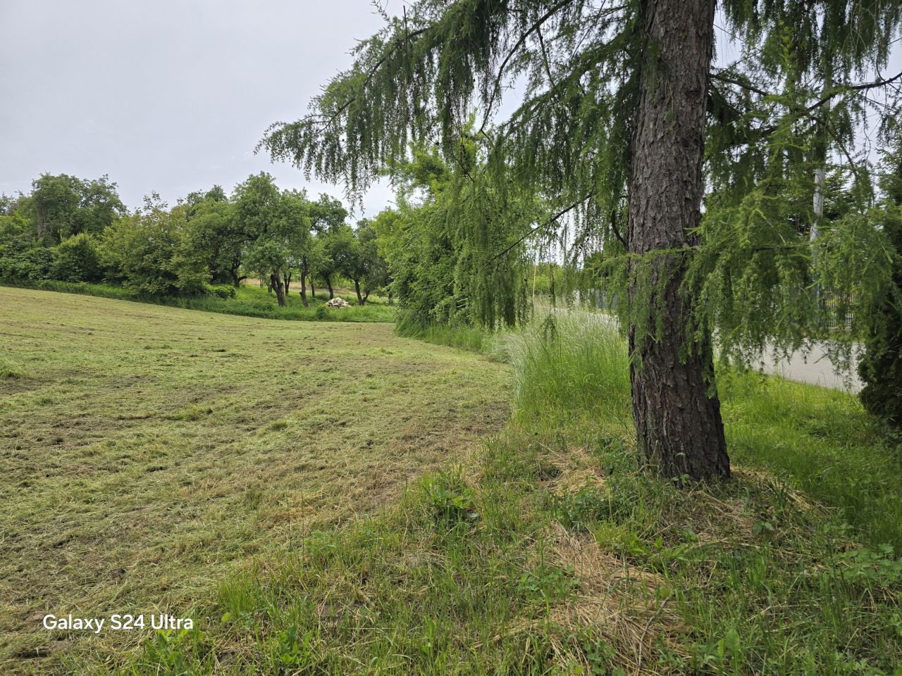 Działka rolno-budowlana Nowy Kamień. Zdjęcie 28