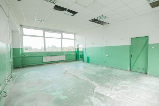 Hala/magazyn Siennica, ul. gen. Władysława Sikorskiego. Zdjęcie 12