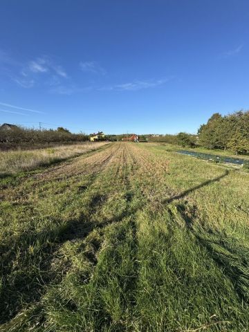 Działka rolno-budowlana Dąbrowa. Zdjęcie 1
