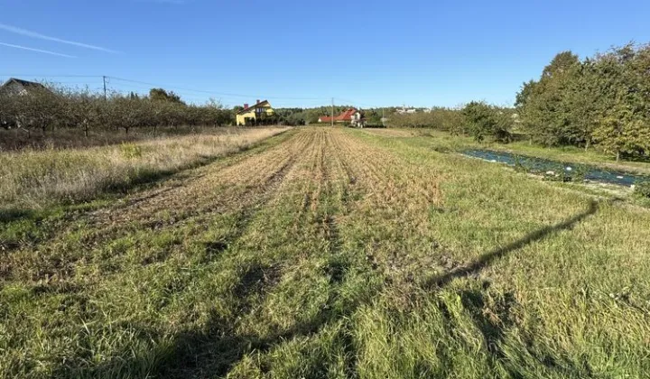 Działka rolno-budowlana Dąbrowa