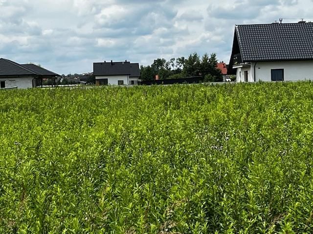 Działka budowlana Wierzawice. Zdjęcie 6