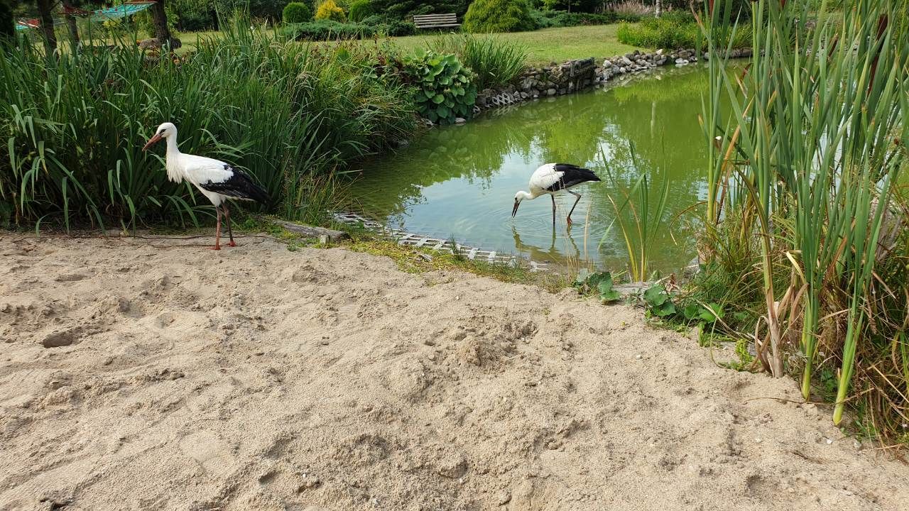 dom wolnostojący Sobącz. Zdjęcie 56