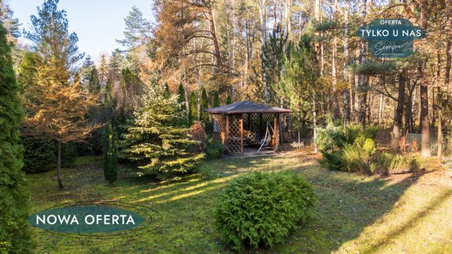 Działka rolna Józefów-Wiktorów. Zdjęcie 5