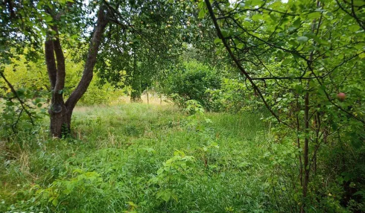 Działka rod Wójtowo
