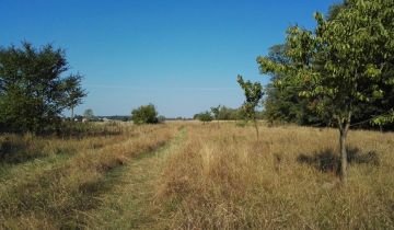Działka siedliskowa Gnaty-Lewiski