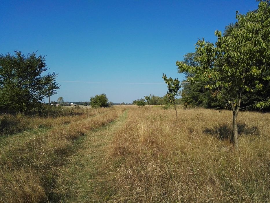 Działka siedliskowa Gnaty-Lewiski