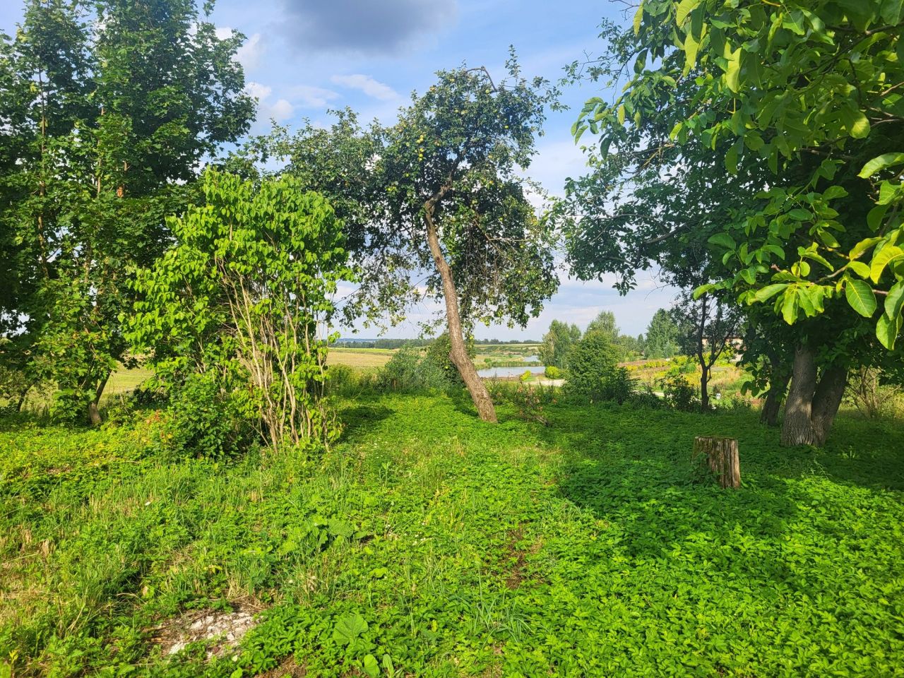 siedlisko Średnie Małe. Zdjęcie 8